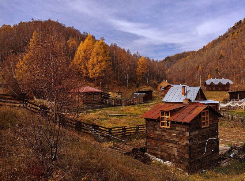 Поселок таежный тайга