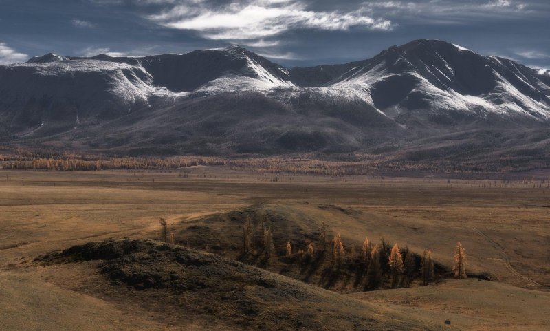 Курайская степь