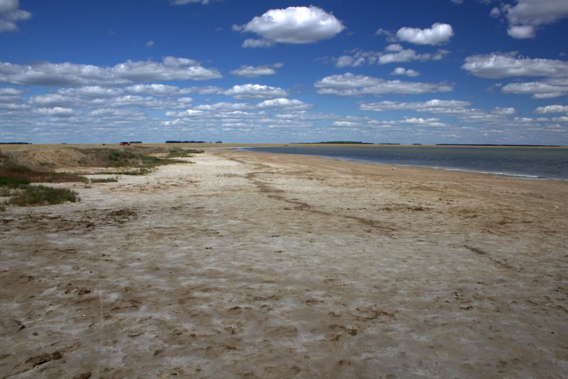 Курумбельская степь