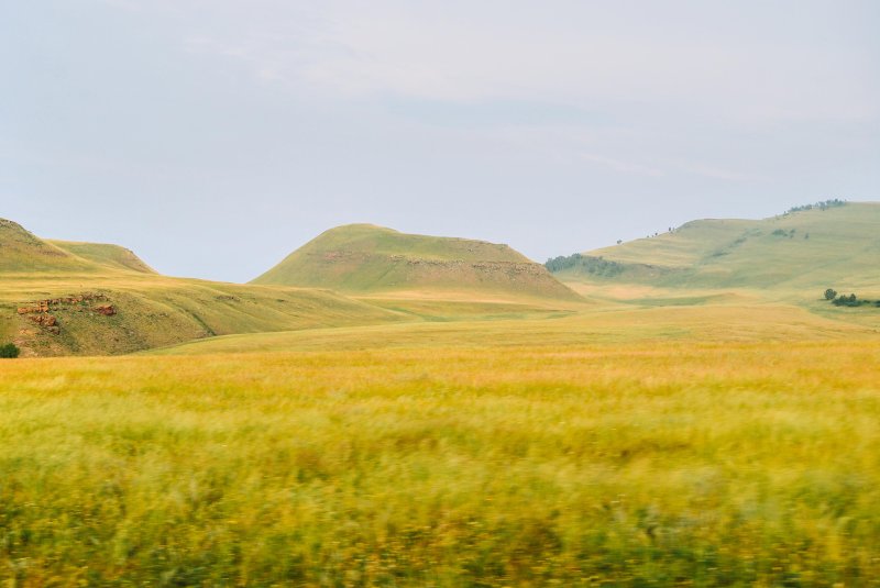 Койбальская степь