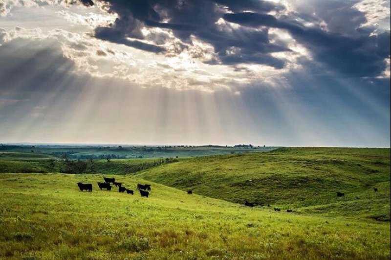 Канзасская степь