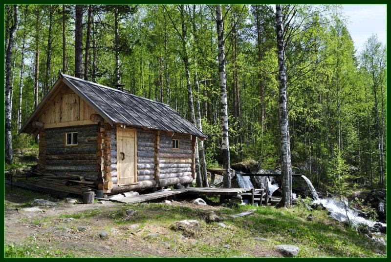 Лесная избушка жизнь в тайге