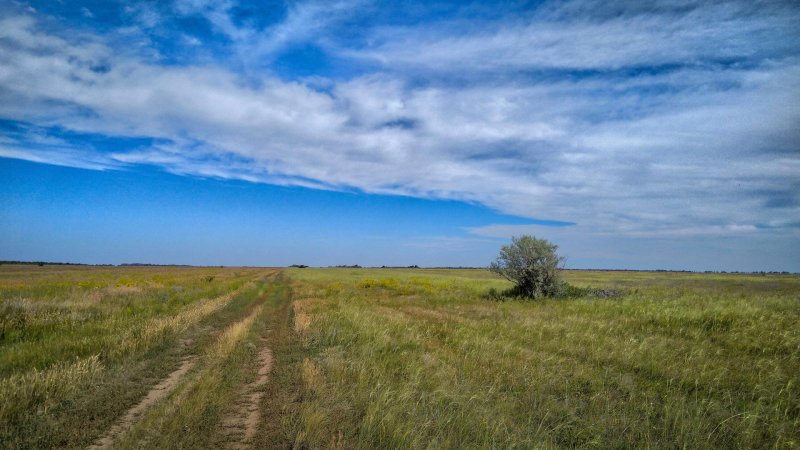 Курумбельская степь