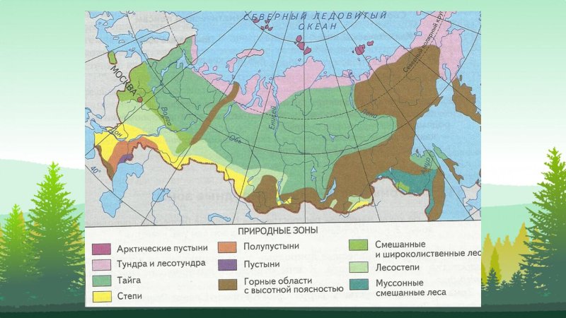 Природные зоны россии степи