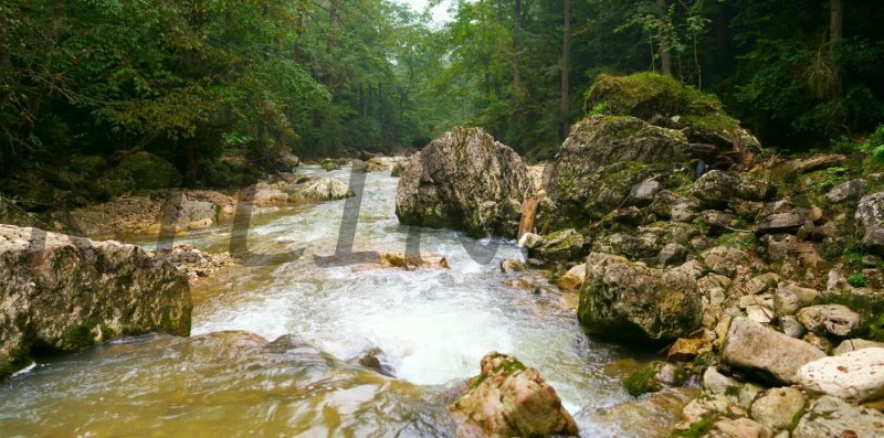 Гуамское ущелье река курджипс