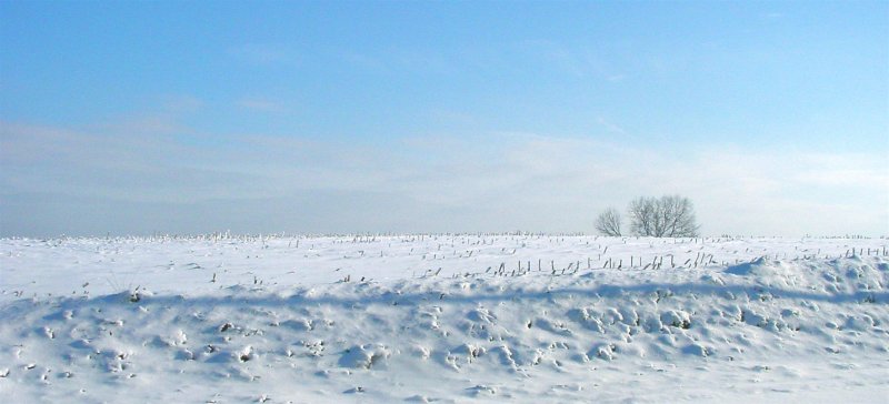 Зима в степи