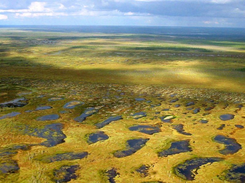 Большеземельская тундра