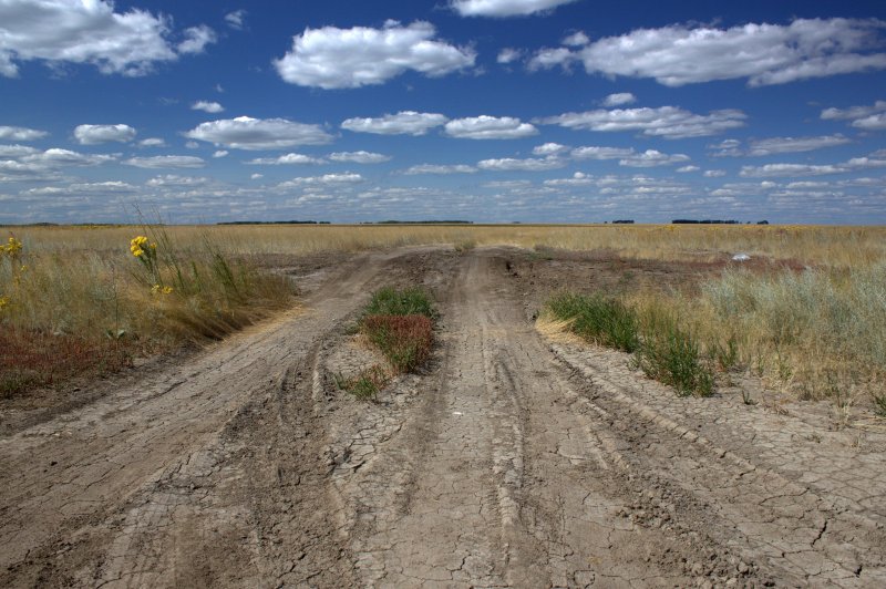 Курумбельская степь