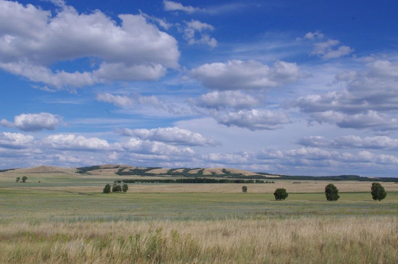 Сарыозекская степь