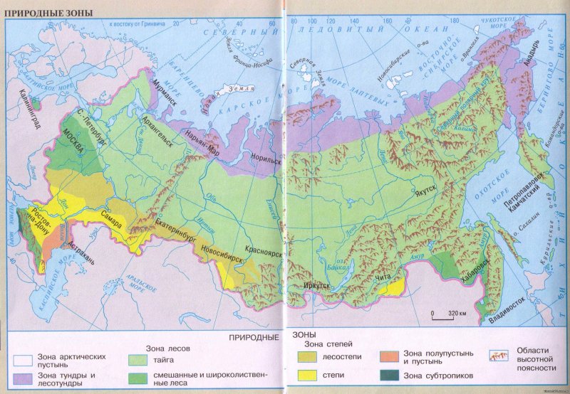 Природные зоны россии степи