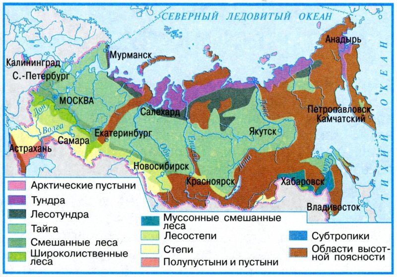 Тайга климатическая зона россии