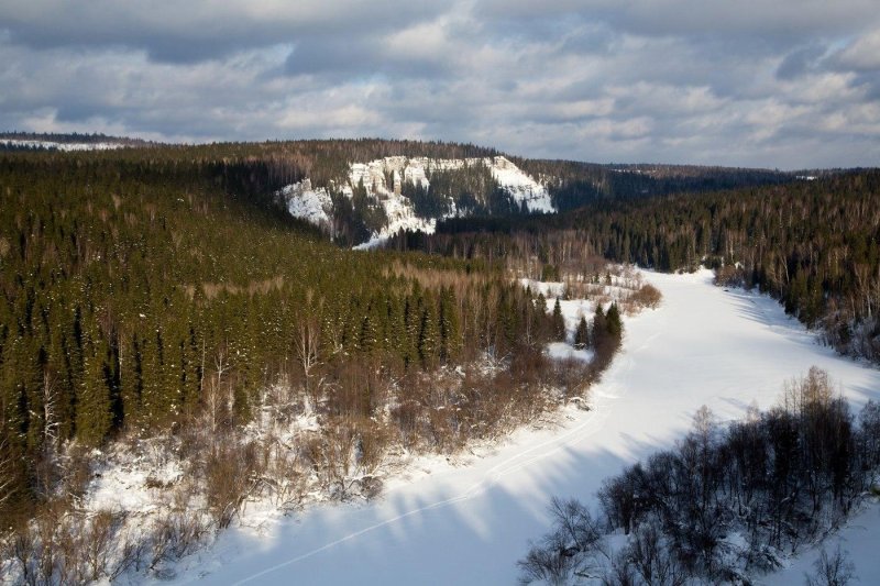 Тайга пермский край