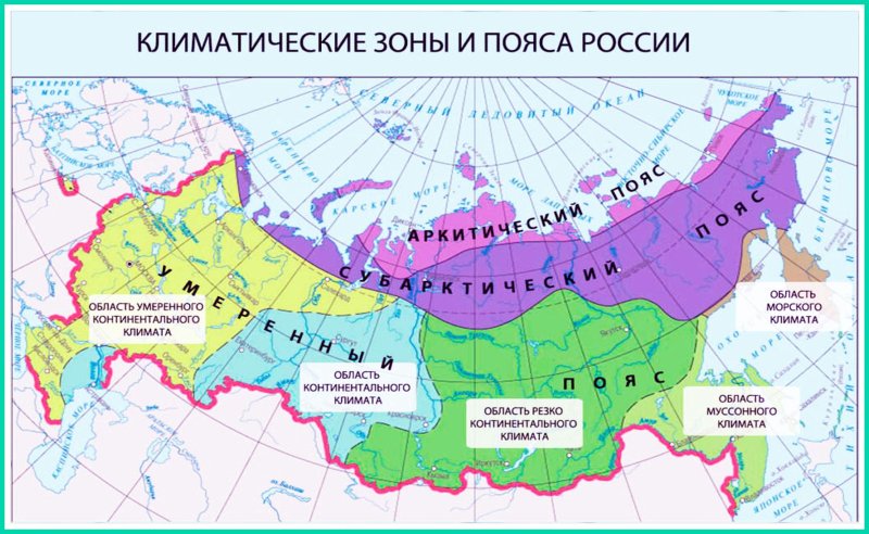 Тайга климатическая зона россии