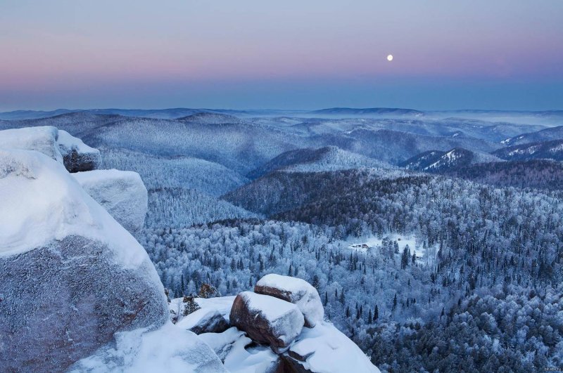 Красноярская тайга