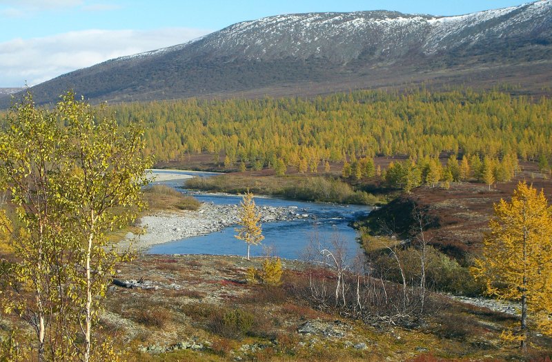 Лабытнанги тундра