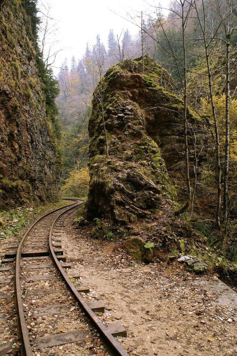 Гуамское ущелье узкоколейка