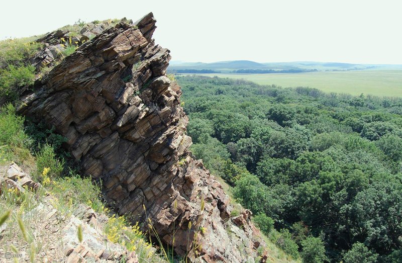 Провальская степь