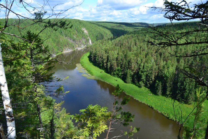 Тайга пермский край