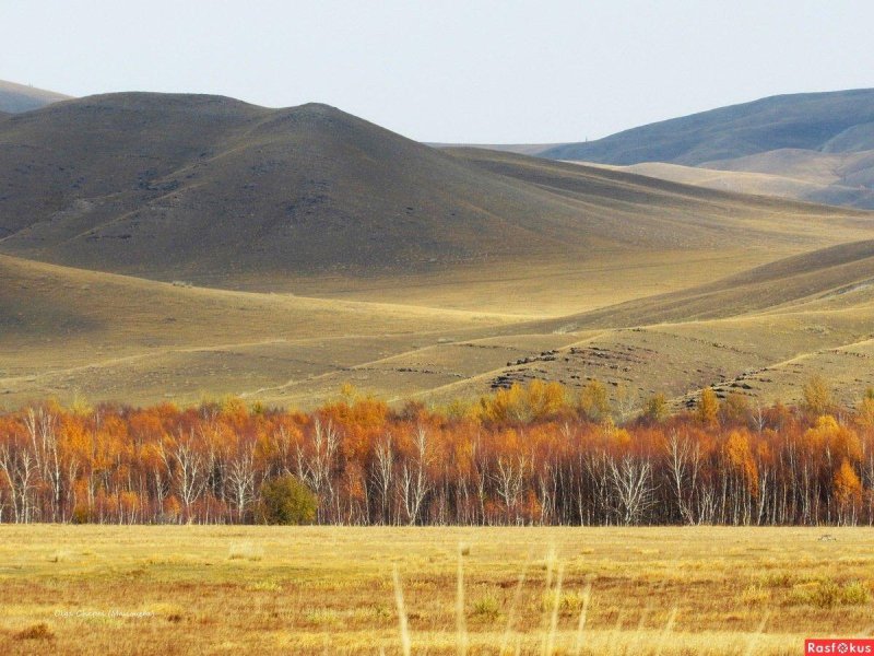 Койбальская степь