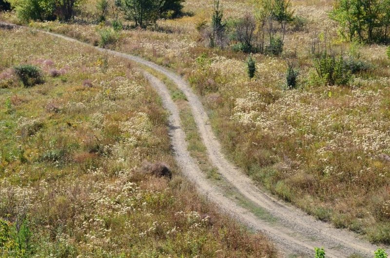 Дорога в степи