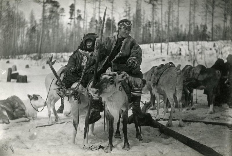 Эвенкия тайга