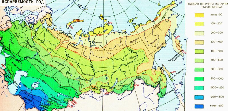 Тайга климатическая зона россии