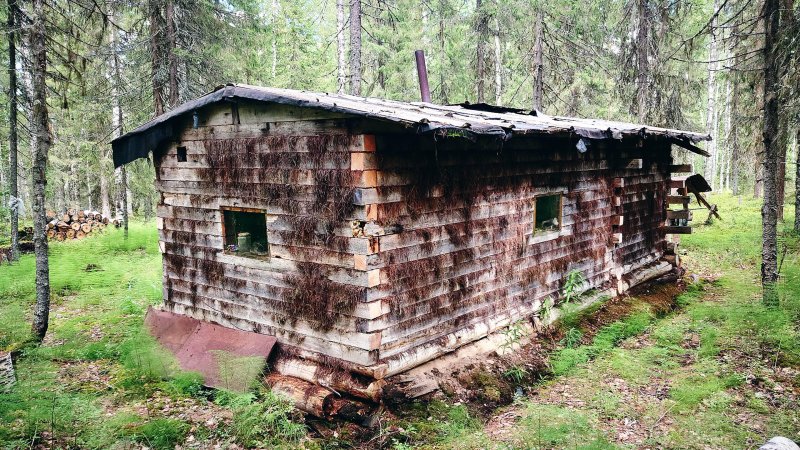 Лесная избушка жизнь в тайге