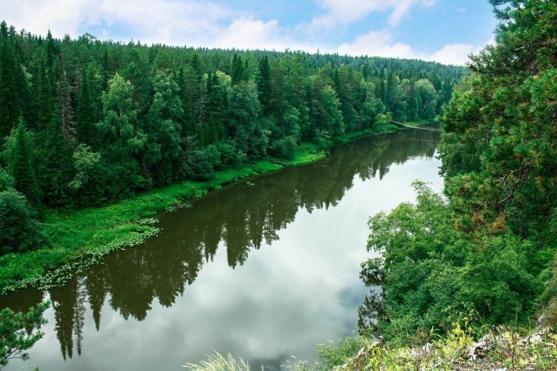 Тайга пермский край