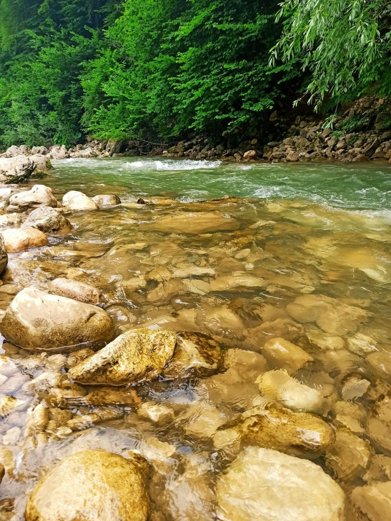 Гуамское ущелье река курджипс