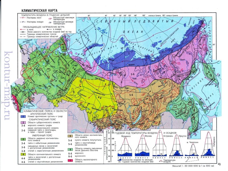 Тайга климатическая зона россии