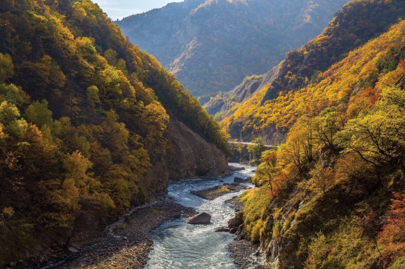 Аргунское ущелье