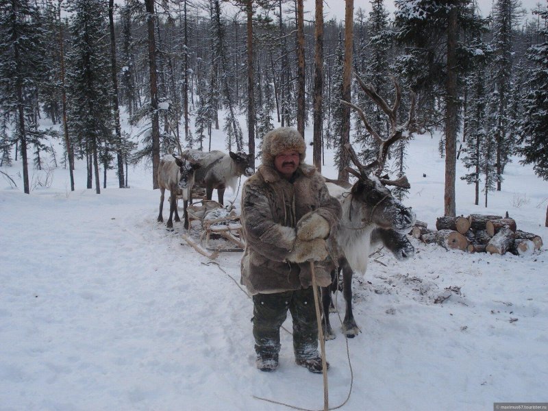 Эвенкия тайга