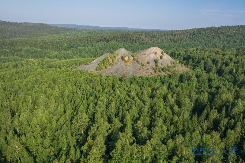 Тайга пермский край