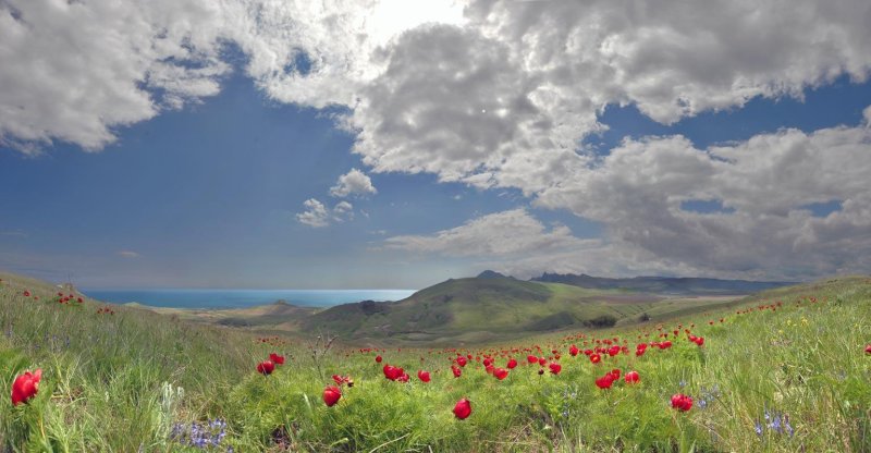 Крымская степь