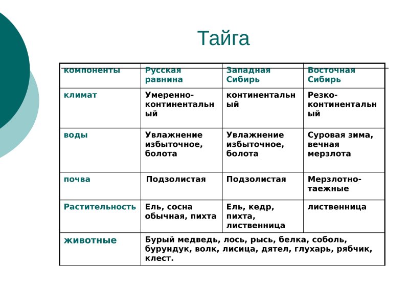 Климат тайги в россии