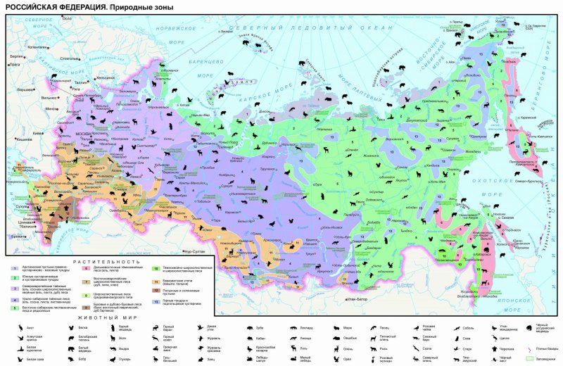 Природные зоны россии степи