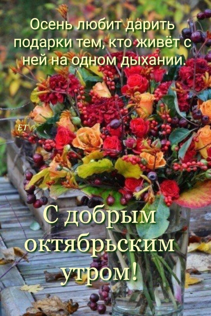 Дикие осенние цветы