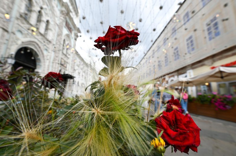 Фестиваль цветов в москве