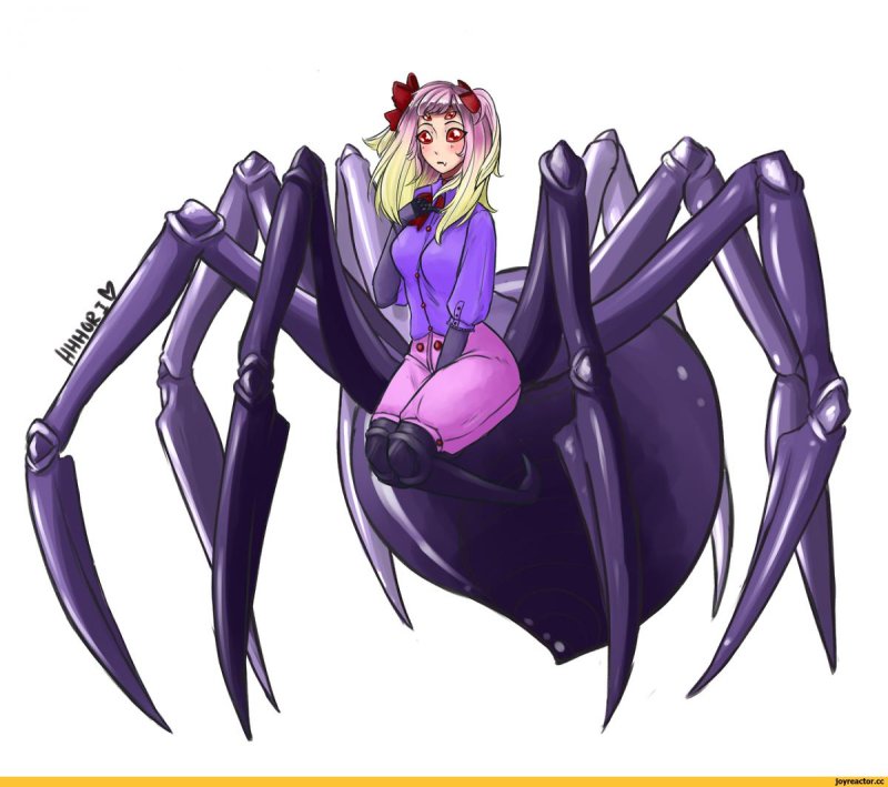 Rachnera arachnera