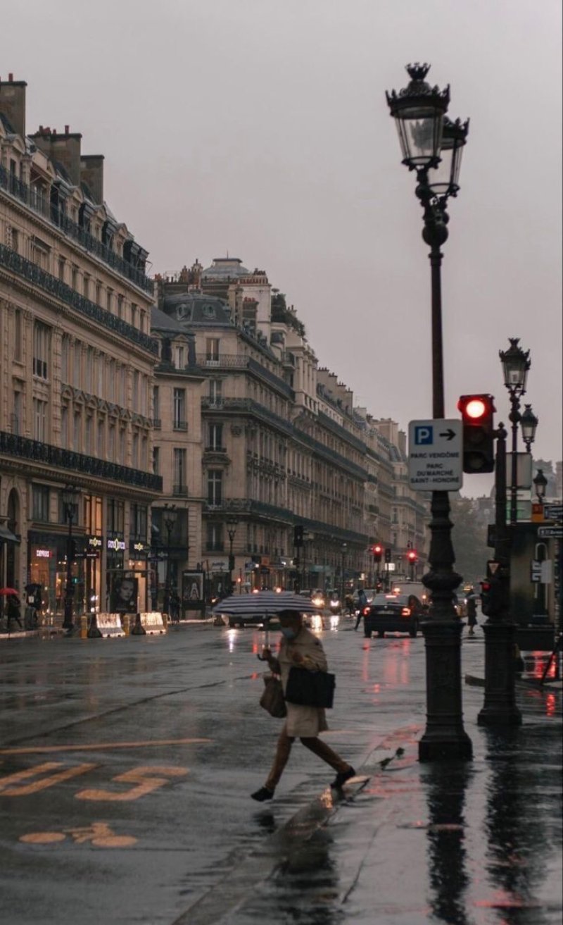 Paris in the rain