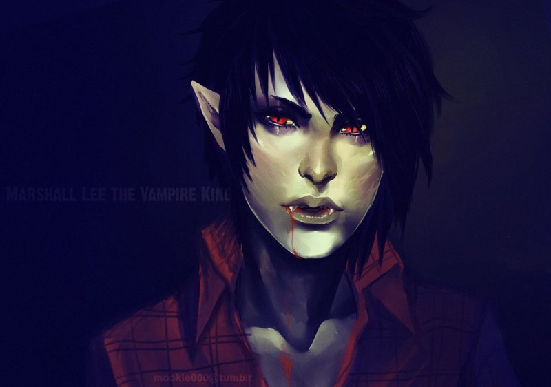 Marshall lee the vampire king