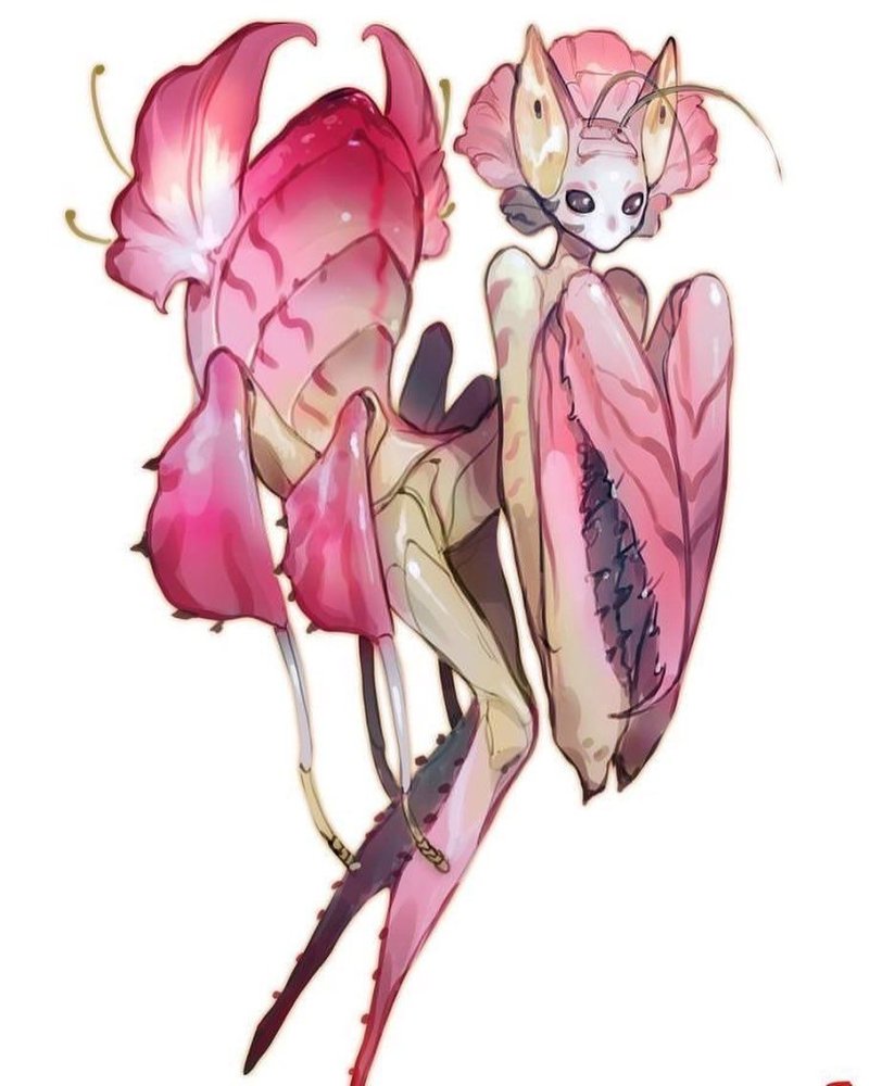 Богомол monster girl insectoid