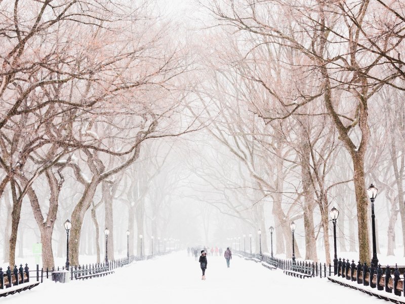 Winter in new york