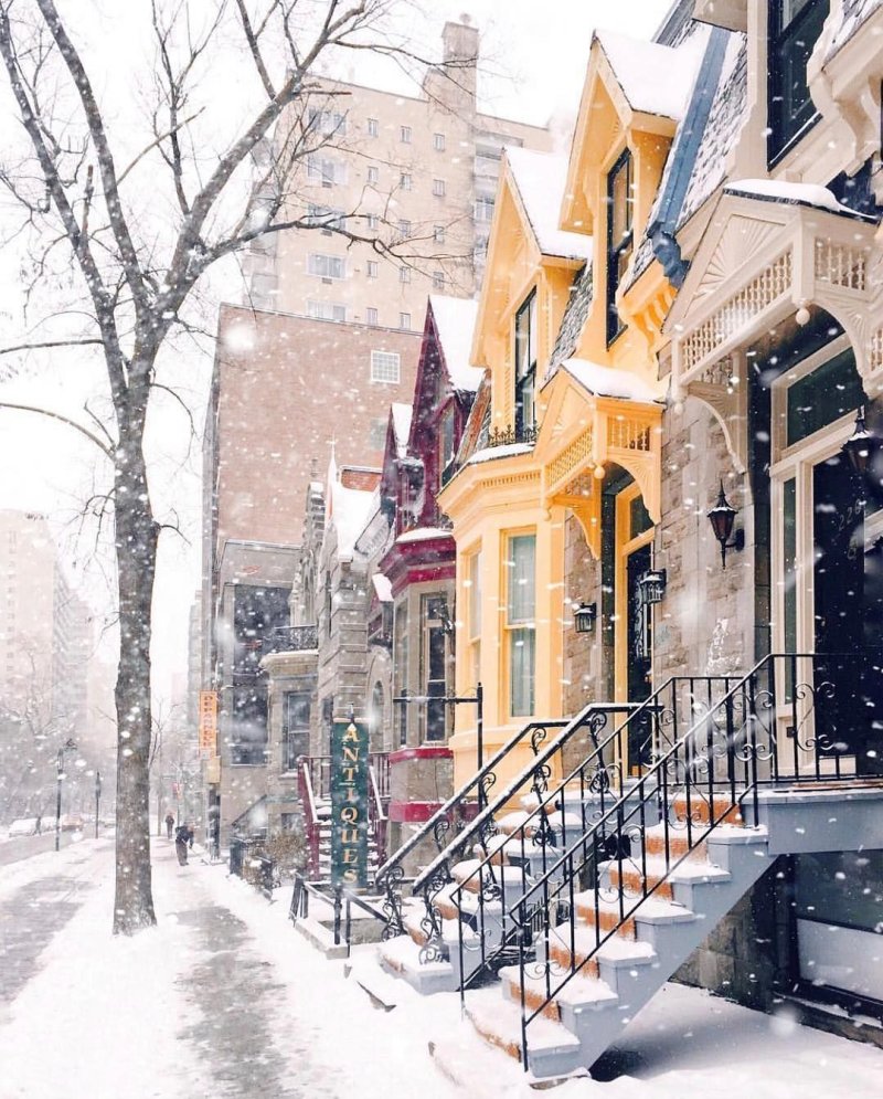 New york winter