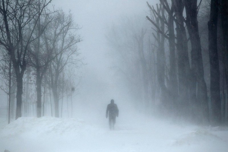 Человек в туманном лесу