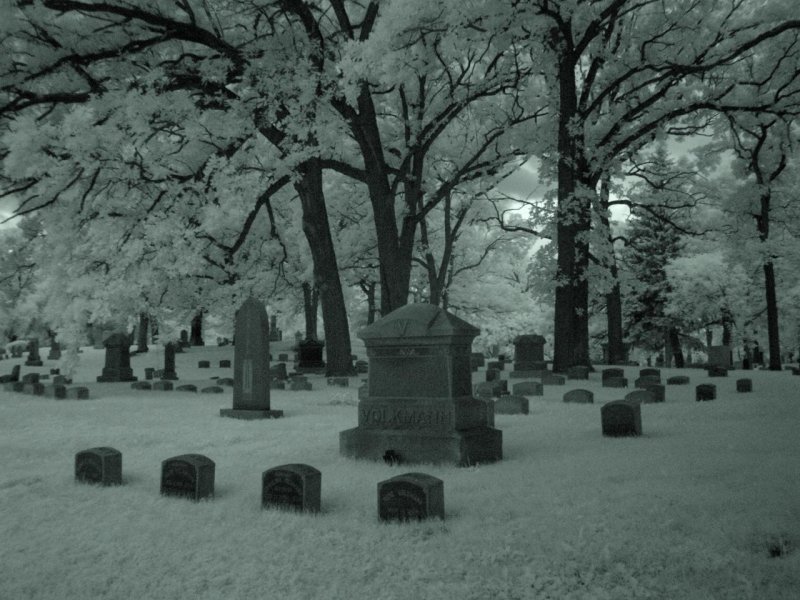 Cemetery cemetery