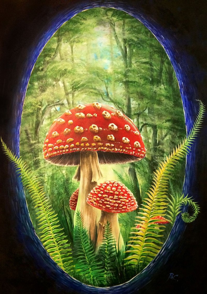 Картина amanita muscaria