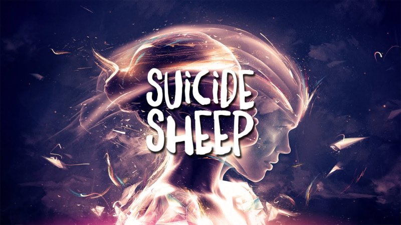 Suicide sheep