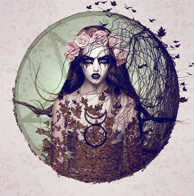 Natalie shau