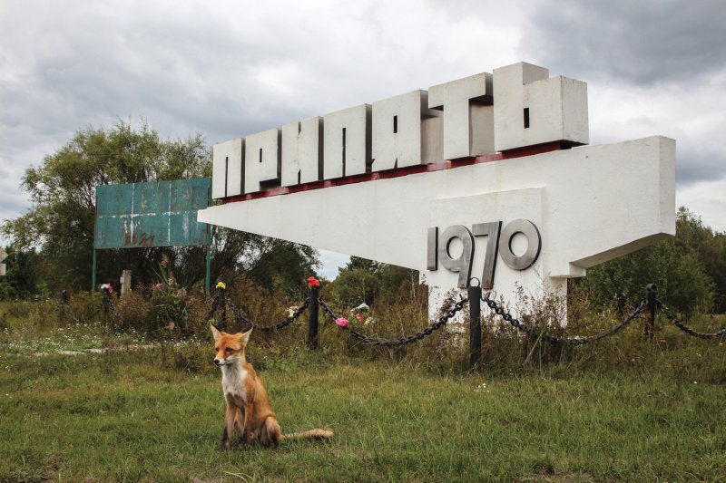 Зона отчуждения чернобыльской аэс припять